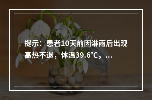 提示：患者10天前因淋雨后出现高热不退，体温39.6℃，伴有