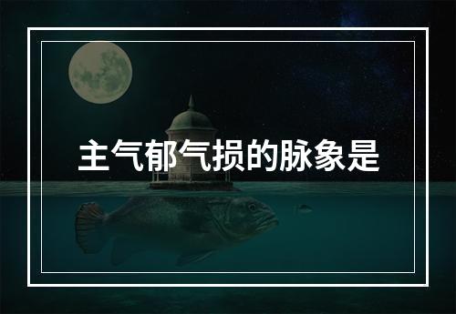 主气郁气损的脉象是