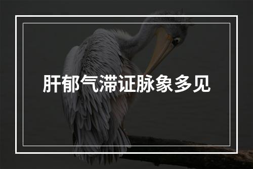 肝郁气滞证脉象多见