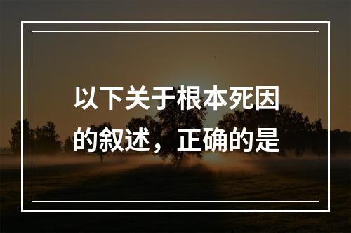 以下关于根本死因的叙述，正确的是