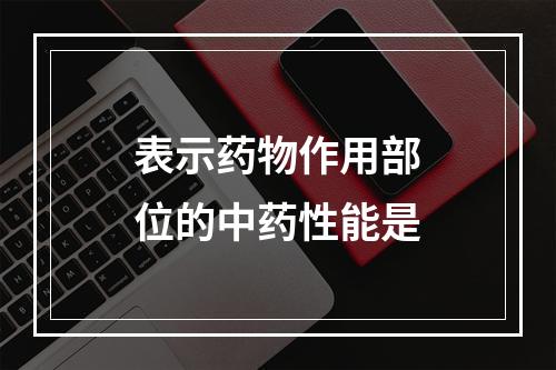 表示药物作用部位的中药性能是