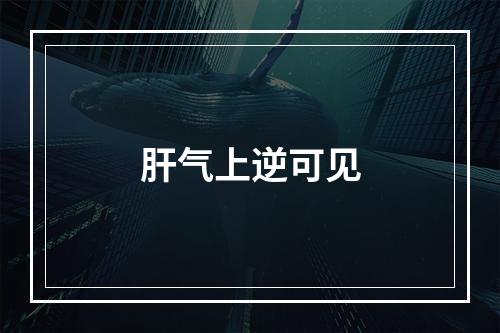 肝气上逆可见