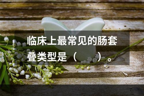 临床上最常见的肠套叠类型是（　　）。