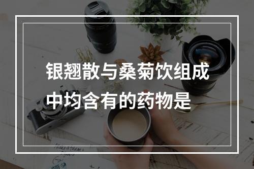 银翘散与桑菊饮组成中均含有的药物是