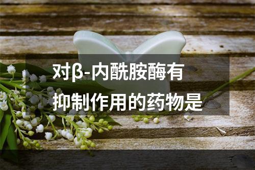 对β-内酰胺酶有抑制作用的药物是