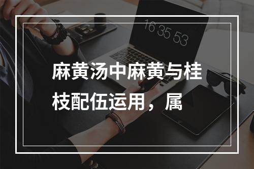 麻黄汤中麻黄与桂枝配伍运用，属