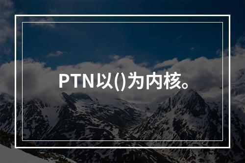 PTN以()为内核。