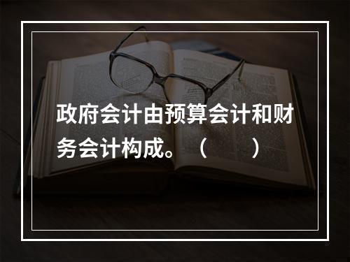 政府会计由预算会计和财务会计构成。（　　）