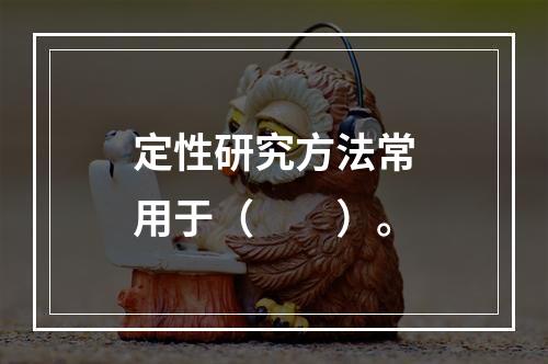 定性研究方法常用于（　　）。