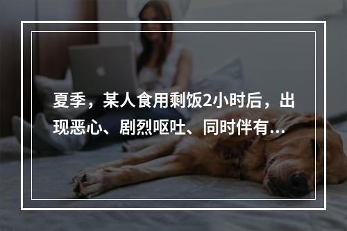 夏季，某人食用剩饭2小时后，出现恶心、剧烈呕吐、同时伴有上腹