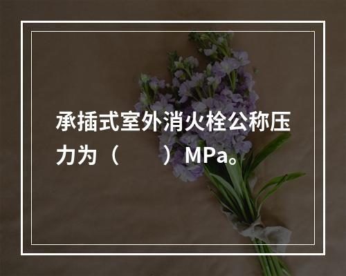 承插式室外消火栓公称压力为（  ）MPa。