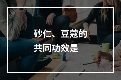 砂仁、豆蔻的共同功效是