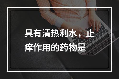 具有清热利水，止痒作用的药物是