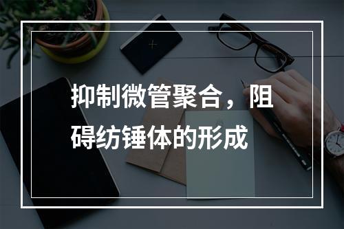 抑制微管聚合，阻碍纺锤体的形成