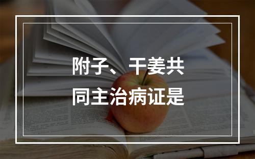 附子、干姜共同主治病证是