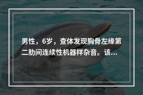 男性，6岁，查体发现胸骨左缘第二肋间连续性机器样杂音。该患儿