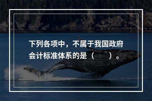 下列各项中，不属于我国政府会计标准体系的是（　　）。