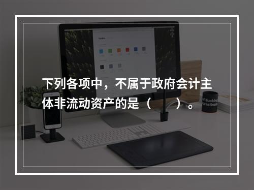 下列各项中，不属于政府会计主体非流动资产的是（　　）。