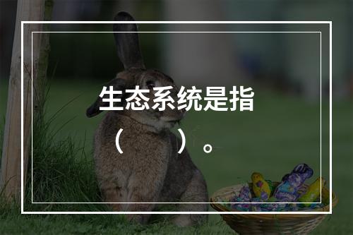 生态系统是指（　　）。