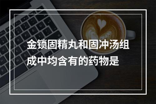 金锁固精丸和固冲汤组成中均含有的药物是