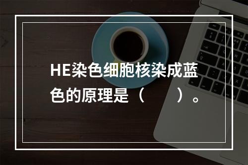 HE染色细胞核染成蓝色的原理是（　　）。