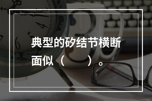 典型的矽结节横断面似（　　）。