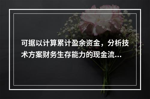 可据以计算累计盈余资金，分析技术方案财务生存能力的现金流量表