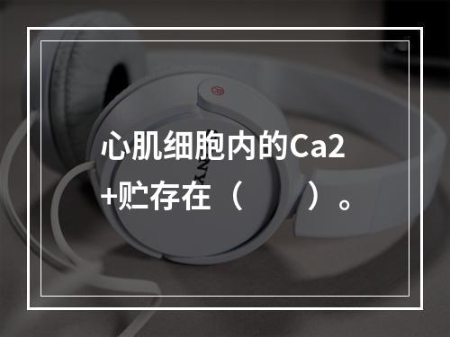 心肌细胞内的Ca2+贮存在（　　）。