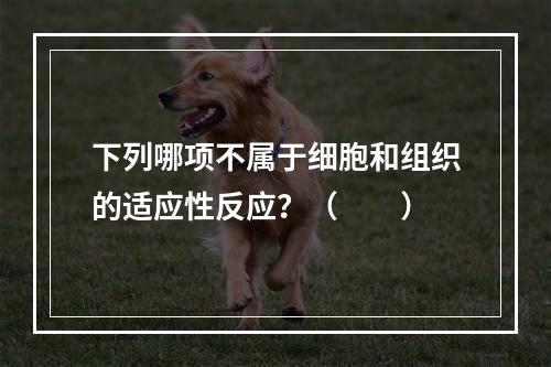 下列哪项不属于细胞和组织的适应性反应？（　　）