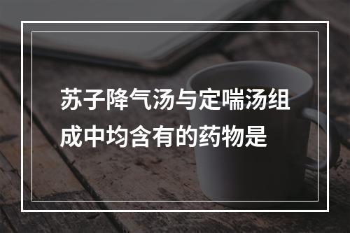 苏子降气汤与定喘汤组成中均含有的药物是