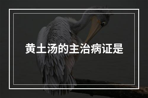 黄土汤的主治病证是