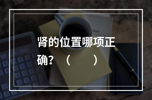 肾的位置哪项正确？（　　）