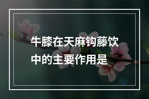 牛膝在天麻钩藤饮中的主要作用是