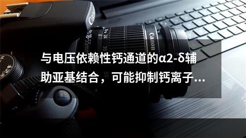 与电压依赖性钙通道的α2-δ辅助亚基结合，可能抑制钙离子内流