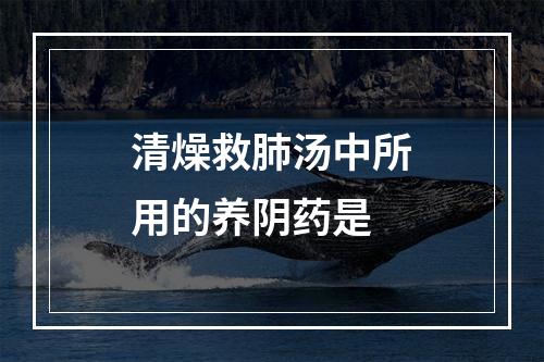 清燥救肺汤中所用的养阴药是