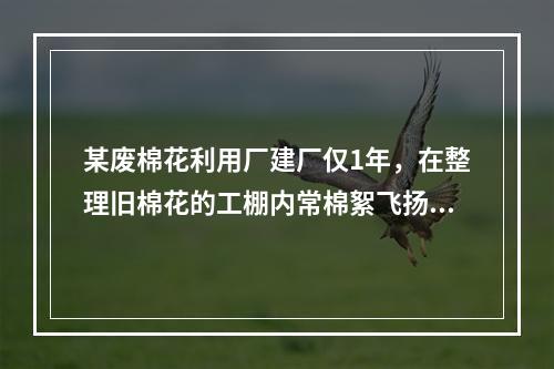 某废棉花利用厂建厂仅1年，在整理旧棉花的工棚内常棉絮飞扬。在