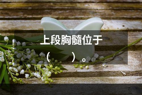 上段胸髓位于（　　）。