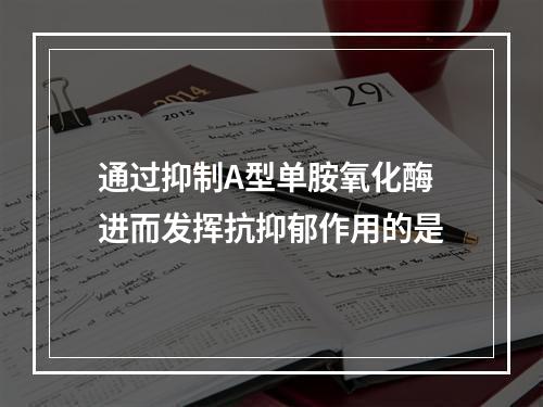 通过抑制A型单胺氧化酶进而发挥抗抑郁作用的是