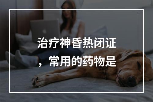 治疗神昏热闭证，常用的药物是