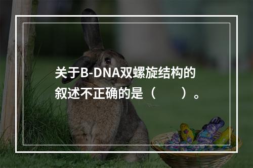 关于B-DNA双螺旋结构的叙述不正确的是（　　）。