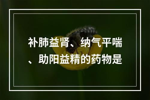 补肺益肾、纳气平喘、助阳益精的药物是