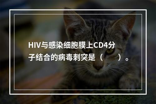 HIV与感染细胞膜上CD4分子结合的病毒刺突是（　　）。