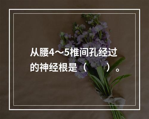 从腰4～5椎间孔经过的神经根是（　　）。