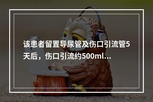 该患者留置导尿管及伤口引流管5天后，伤口引流约500ml/d