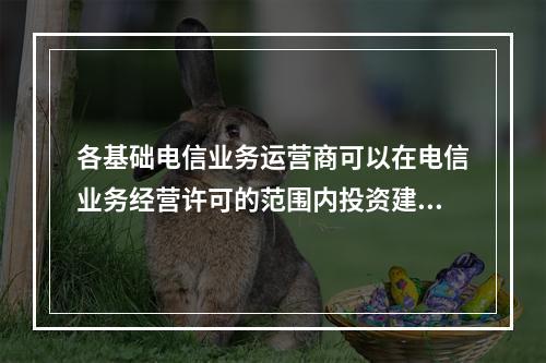 各基础电信业务运营商可以在电信业务经营许可的范围内投资建设(