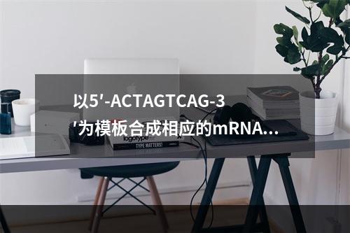 以5′-ACTAGTCAG-3′为模板合成相应的mRNA链