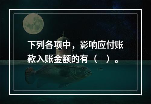 下列各项中，影响应付账款入账金额的有（　）。