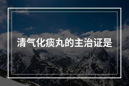 清气化痰丸的主治证是