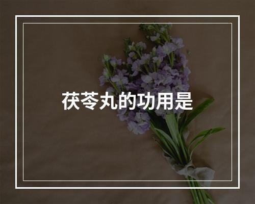 茯苓丸的功用是