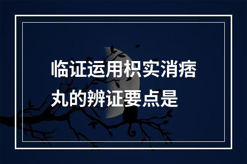 临证运用枳实消痞丸的辨证要点是